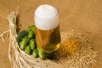 How to brew traditional beers, fruit liqueurs, country ciders and perrys, as well as how to make your own equipment such as presses and scratters.