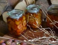 How to make plum brandy and Rumtopf  - it makes a beautiful and delicious present traditionally given at Christmas @ www.jamesandtracy.co.uk